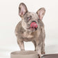Ceramic Pet Bowls
