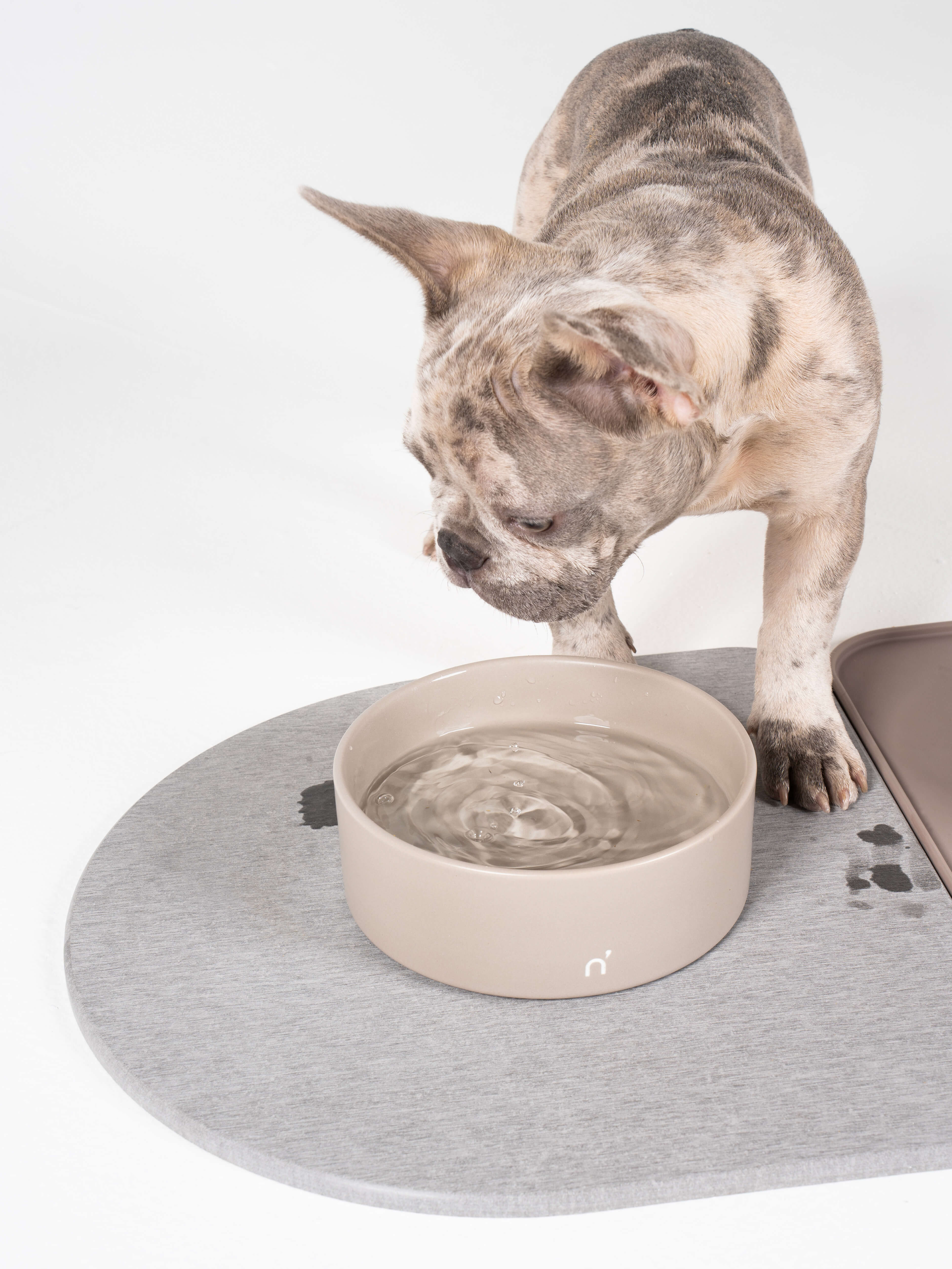 The Water Absorbing Pet Bowl Mat - Hammacher Schlemmer